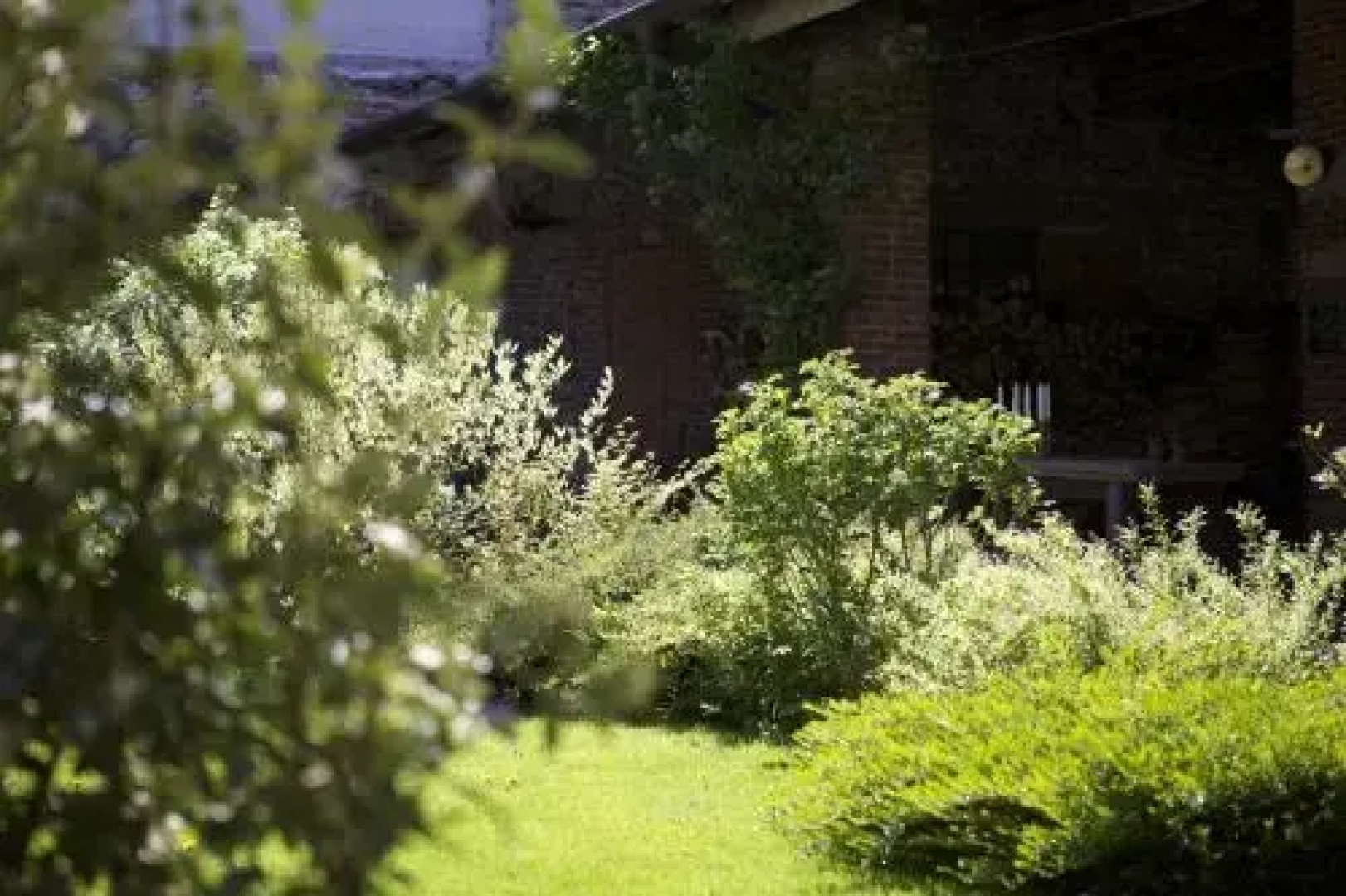 Casa di Creatività Natura Salute