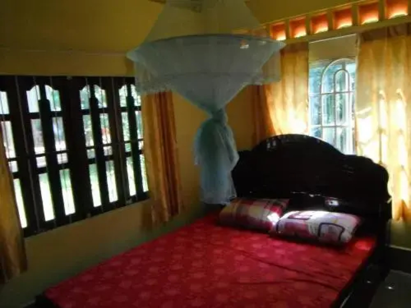 Clouded Leopard Guesthouse