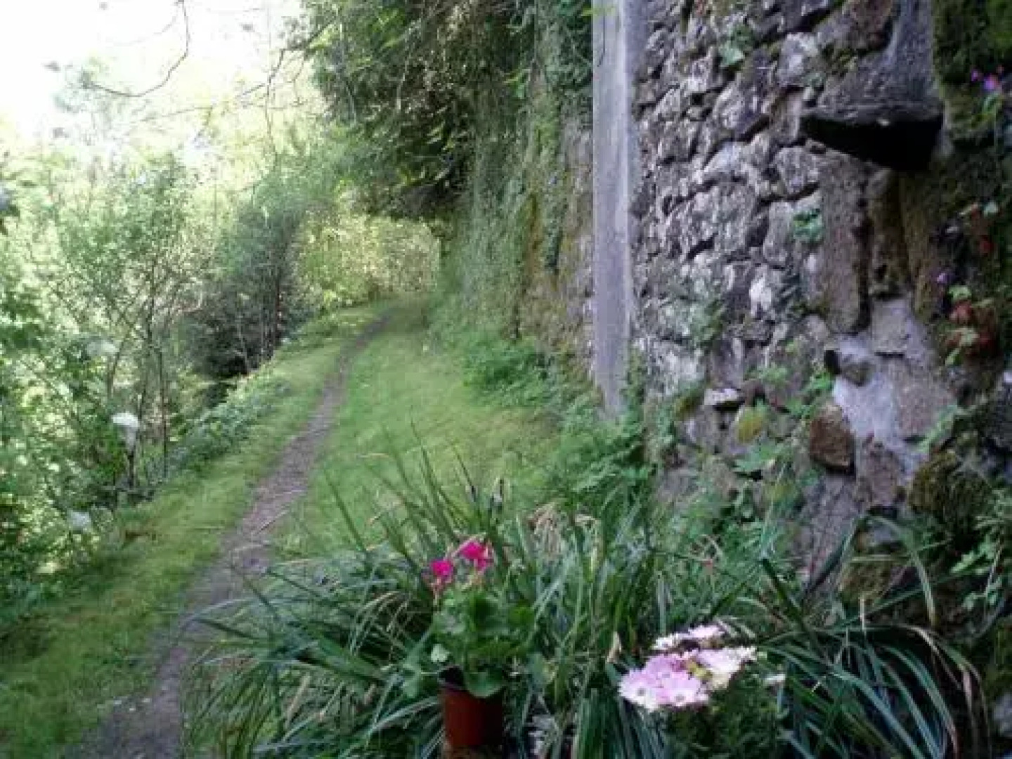 Moulin De Cornevis Bed and Breakfast