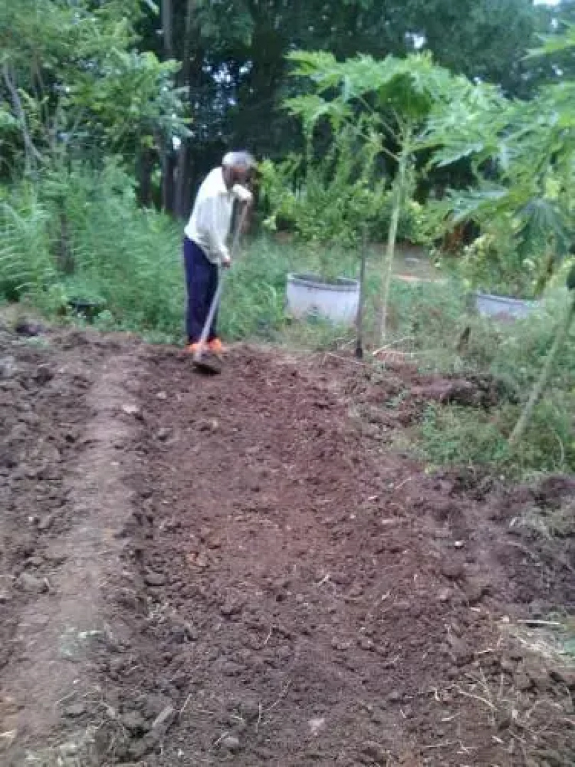 Nana Organic Farm