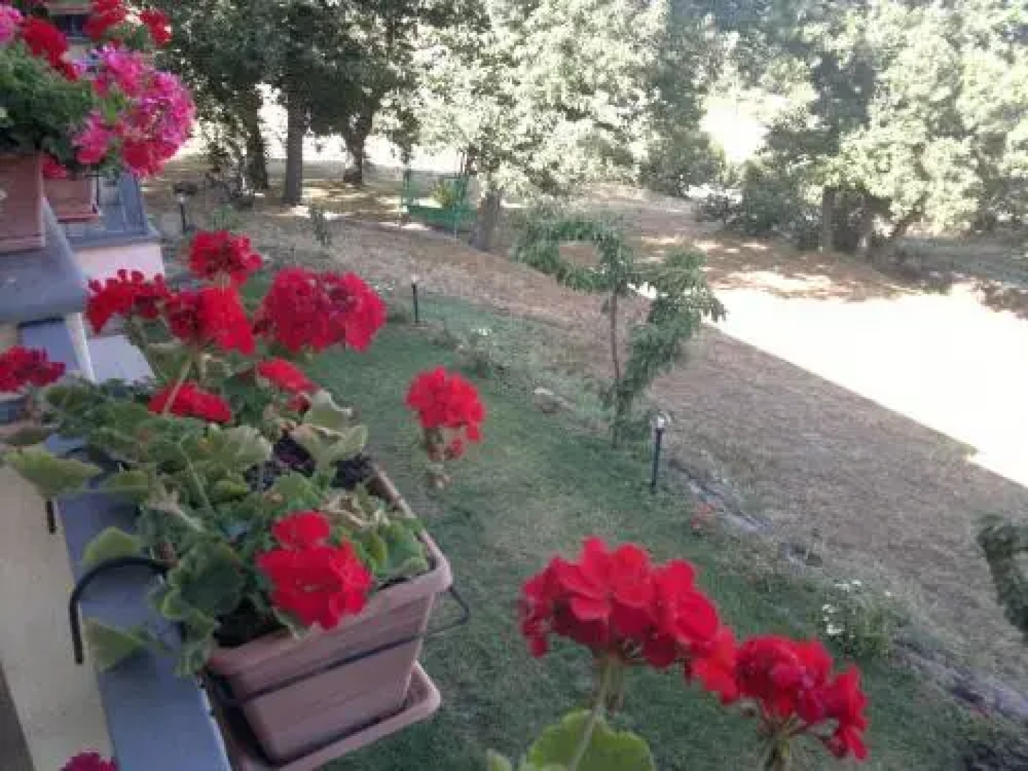 Agriturismo Francadu