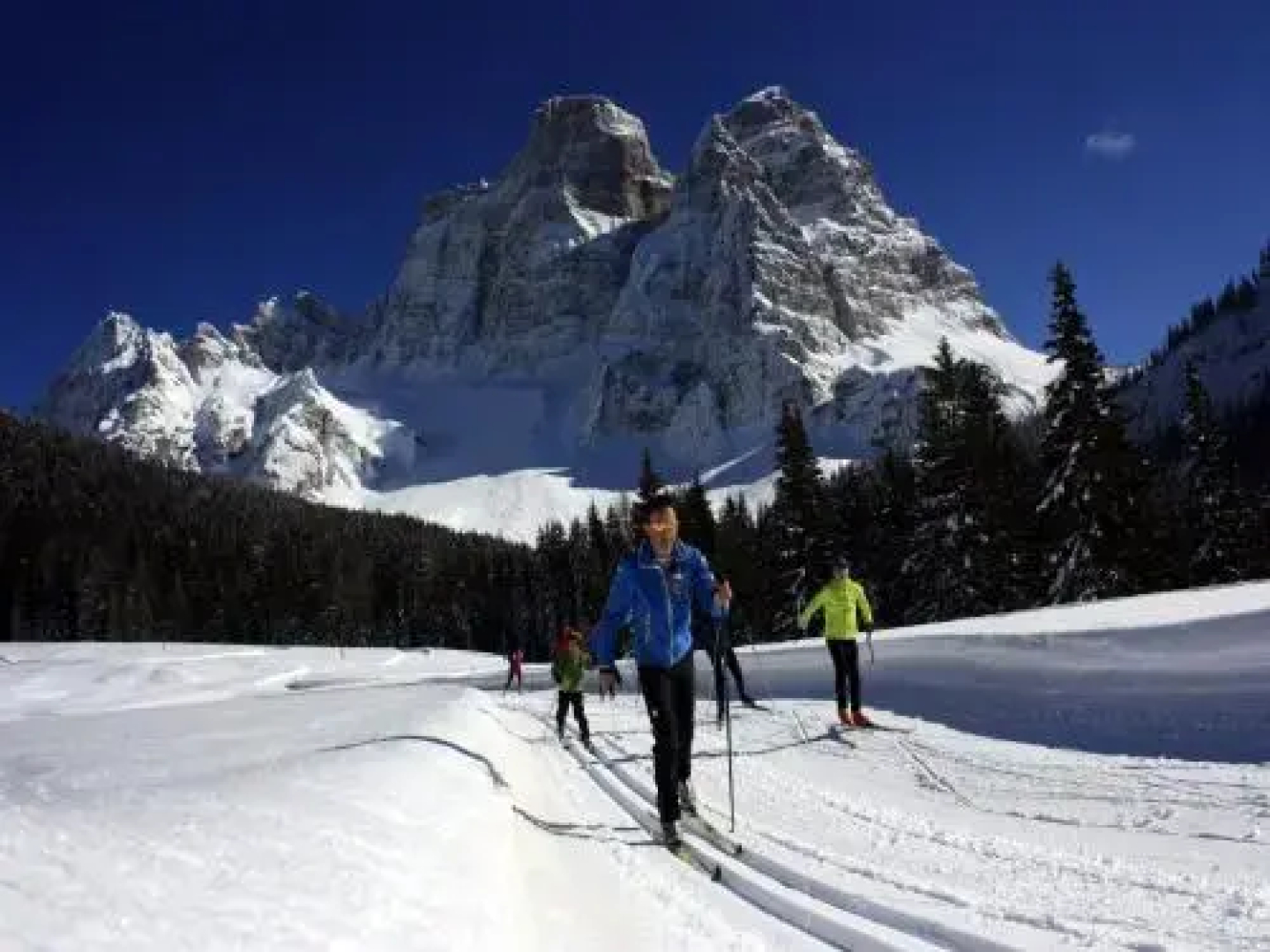 Centro Thule - Genziana