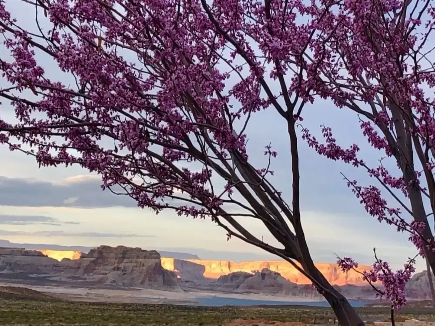 Lake Powell Dream Vacation