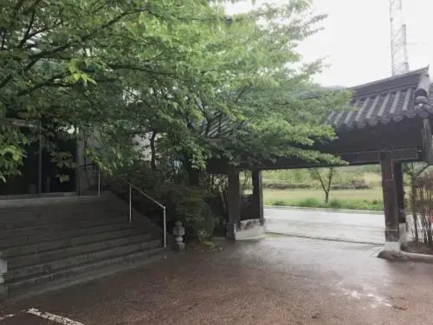 Charlotte Motel Gurye