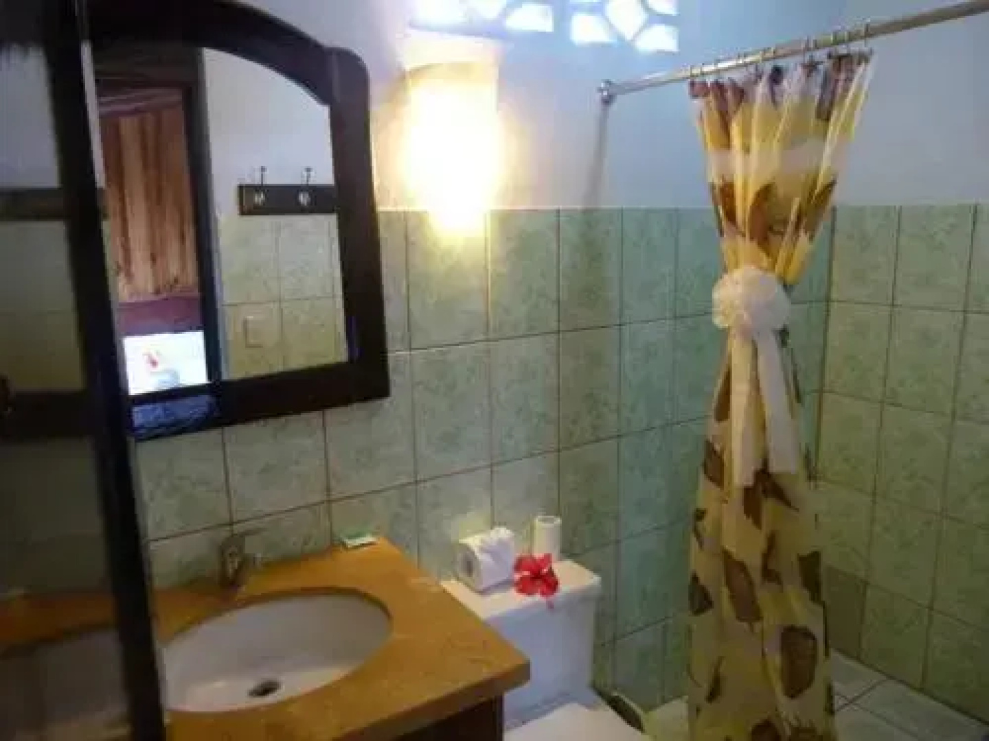 Manú