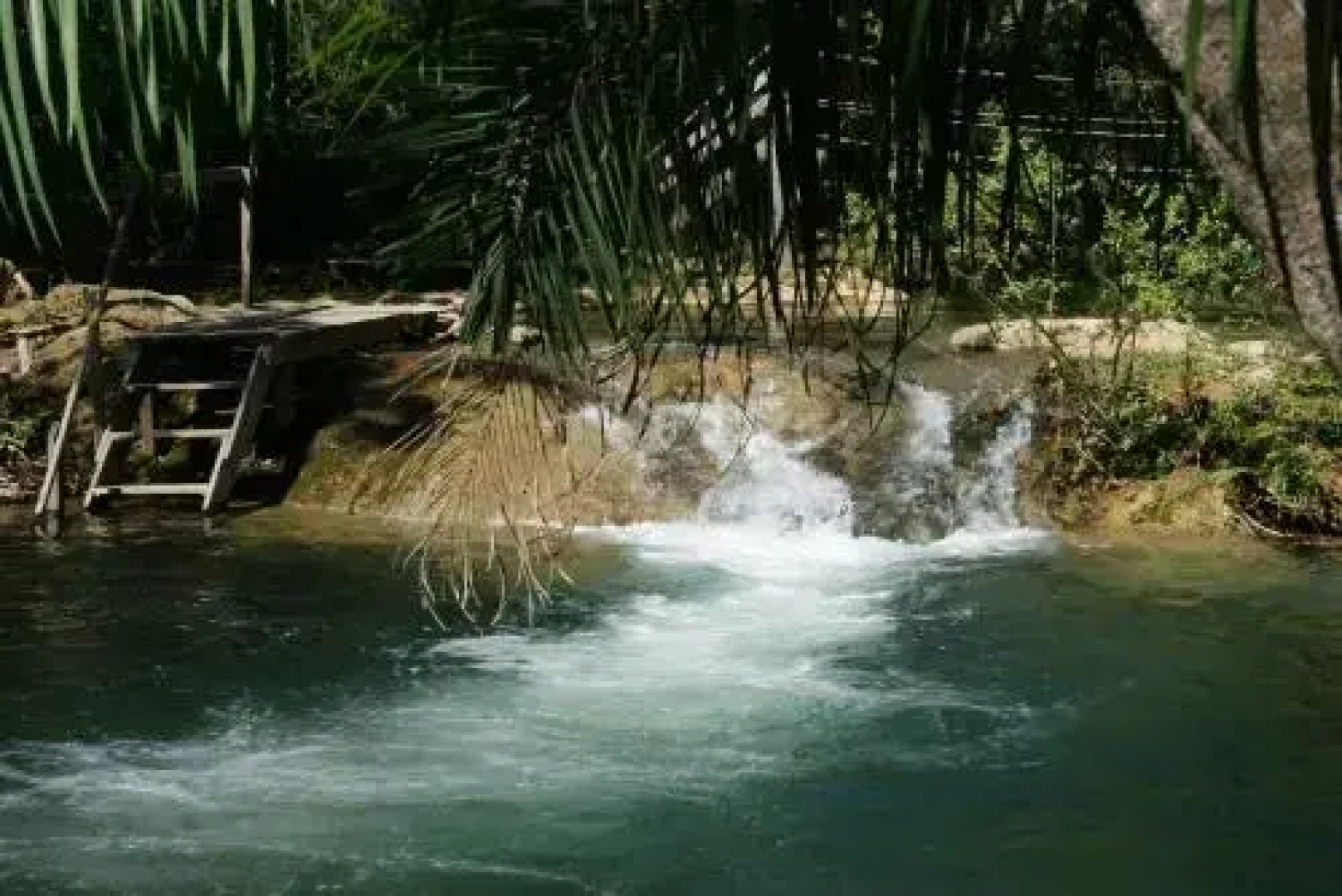 Pousada Canto do Bambu