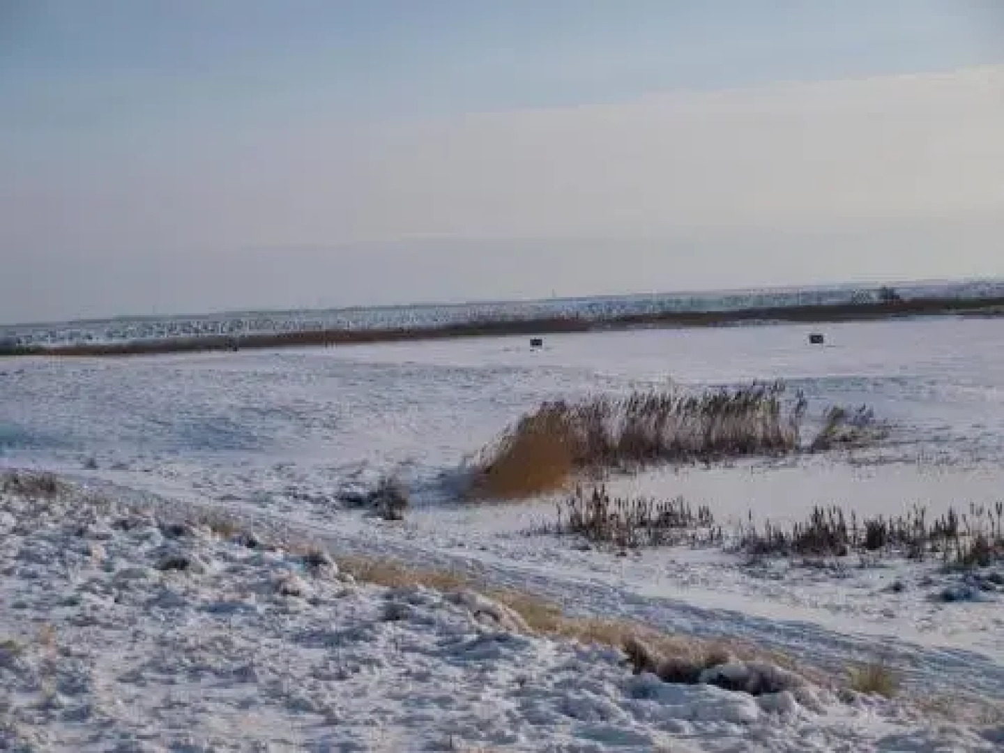 Gulirisvej Havneby Rømø