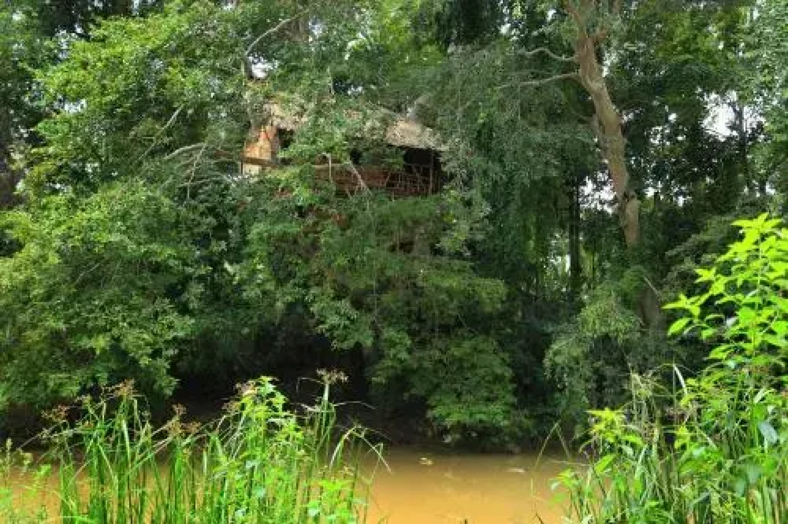Kumbuk Tree House