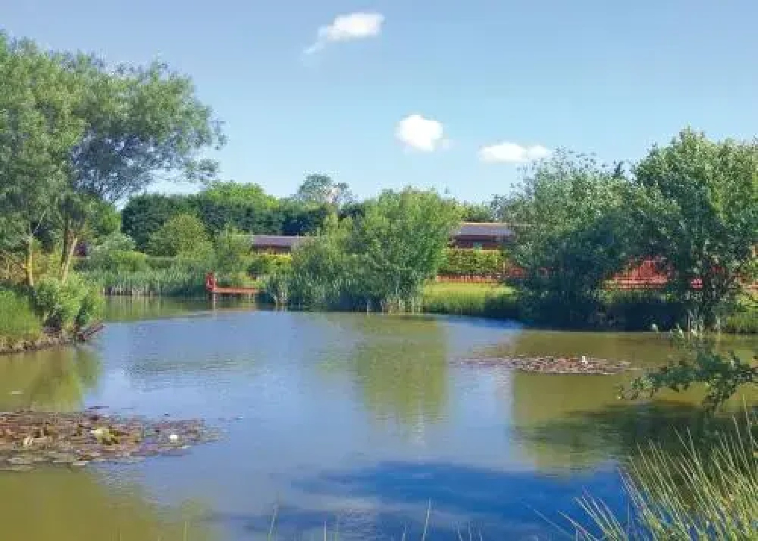 Little Eden Country Park