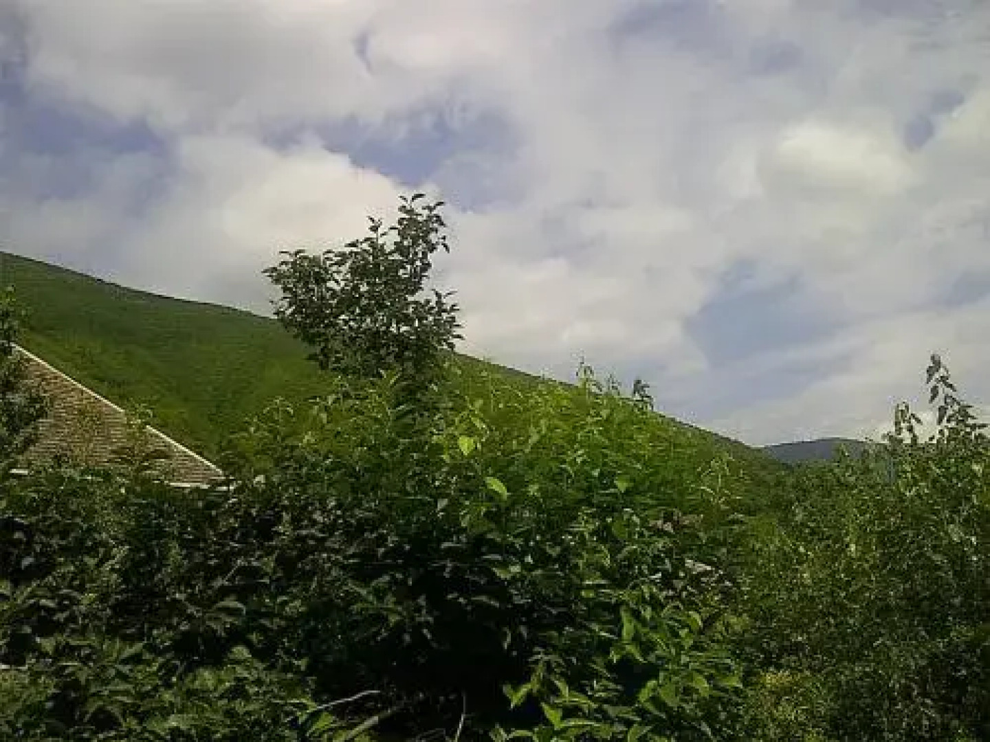 Vaqif House