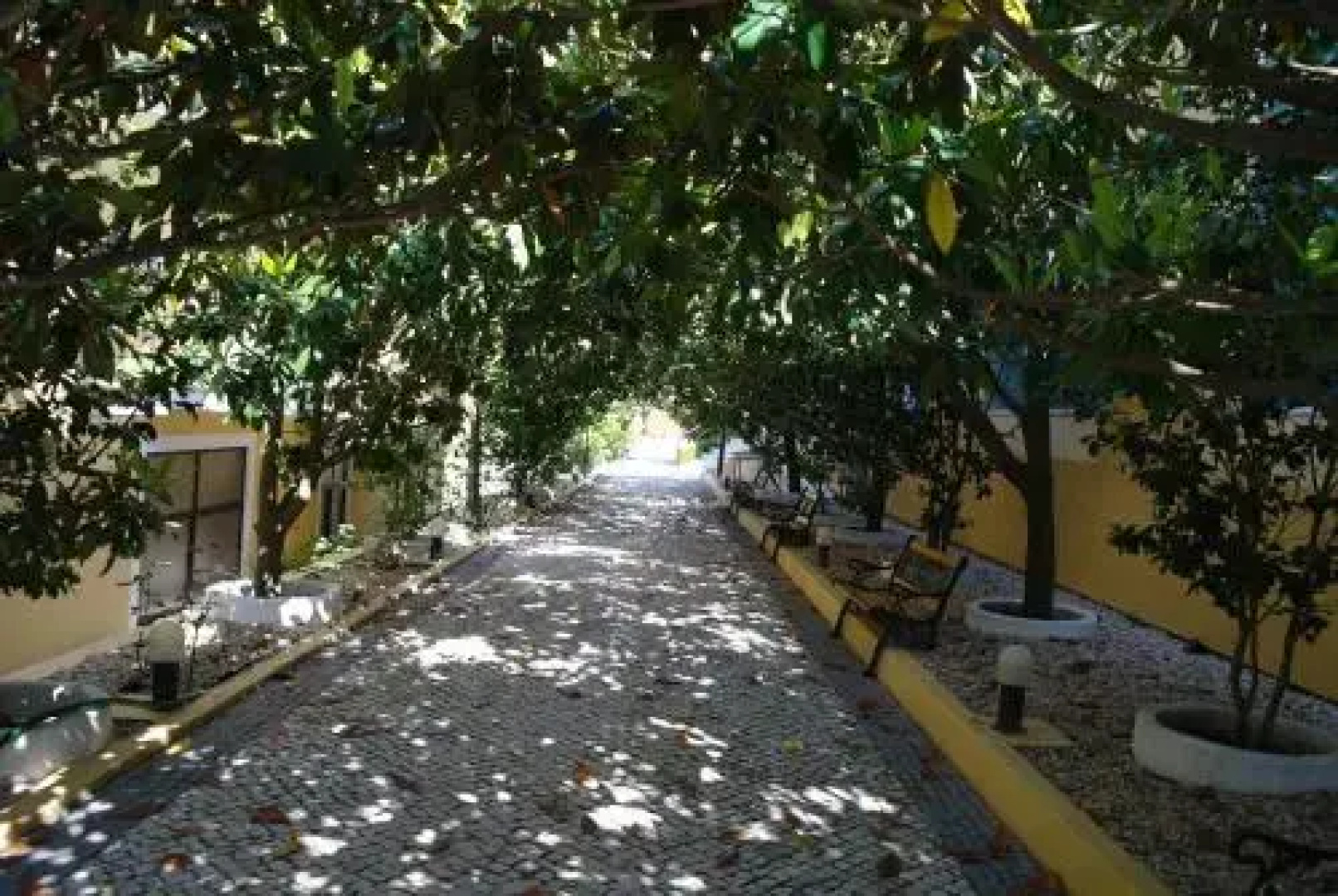 Cozinha Portuguesa