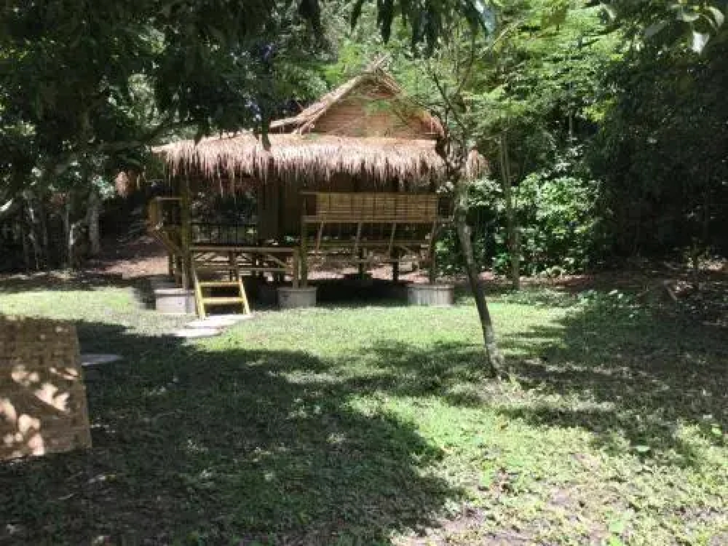 Cool Bananas Homestay