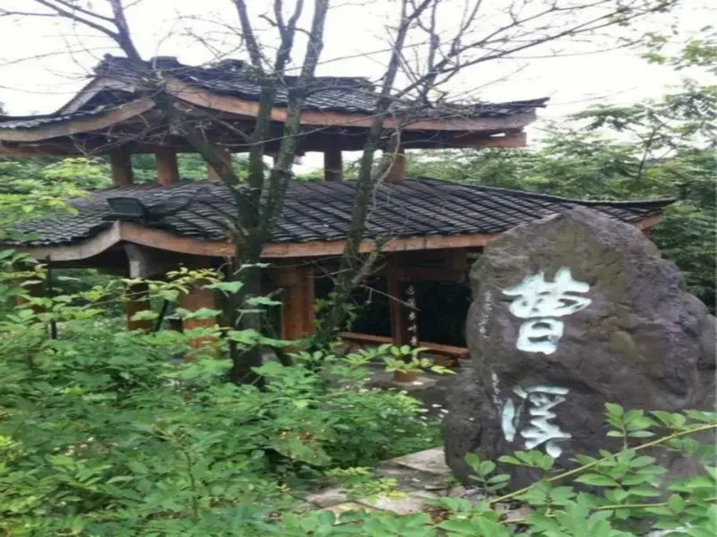 Mount Emei Qilingping Hot Spring Hotel