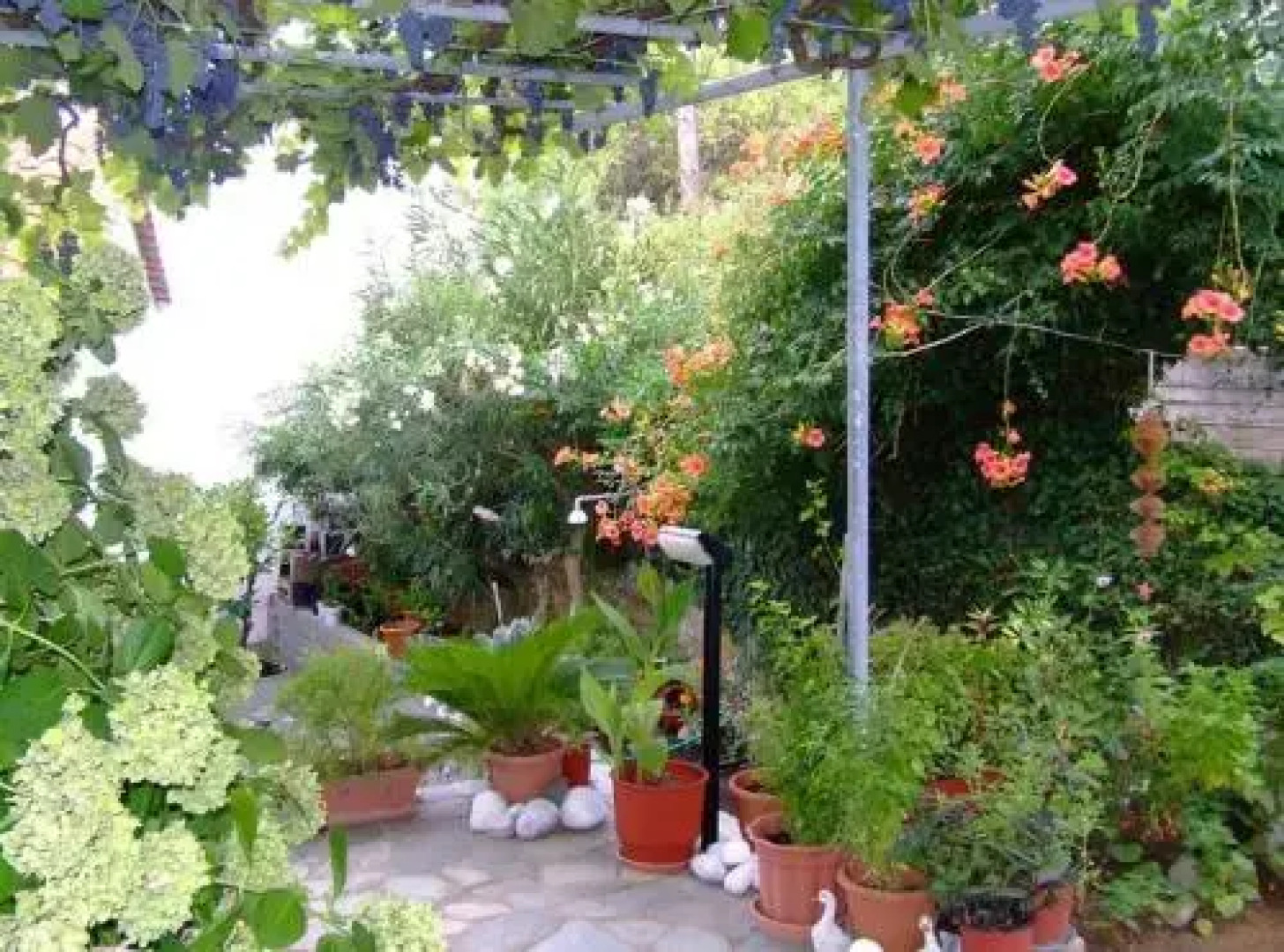 Pension Marina
