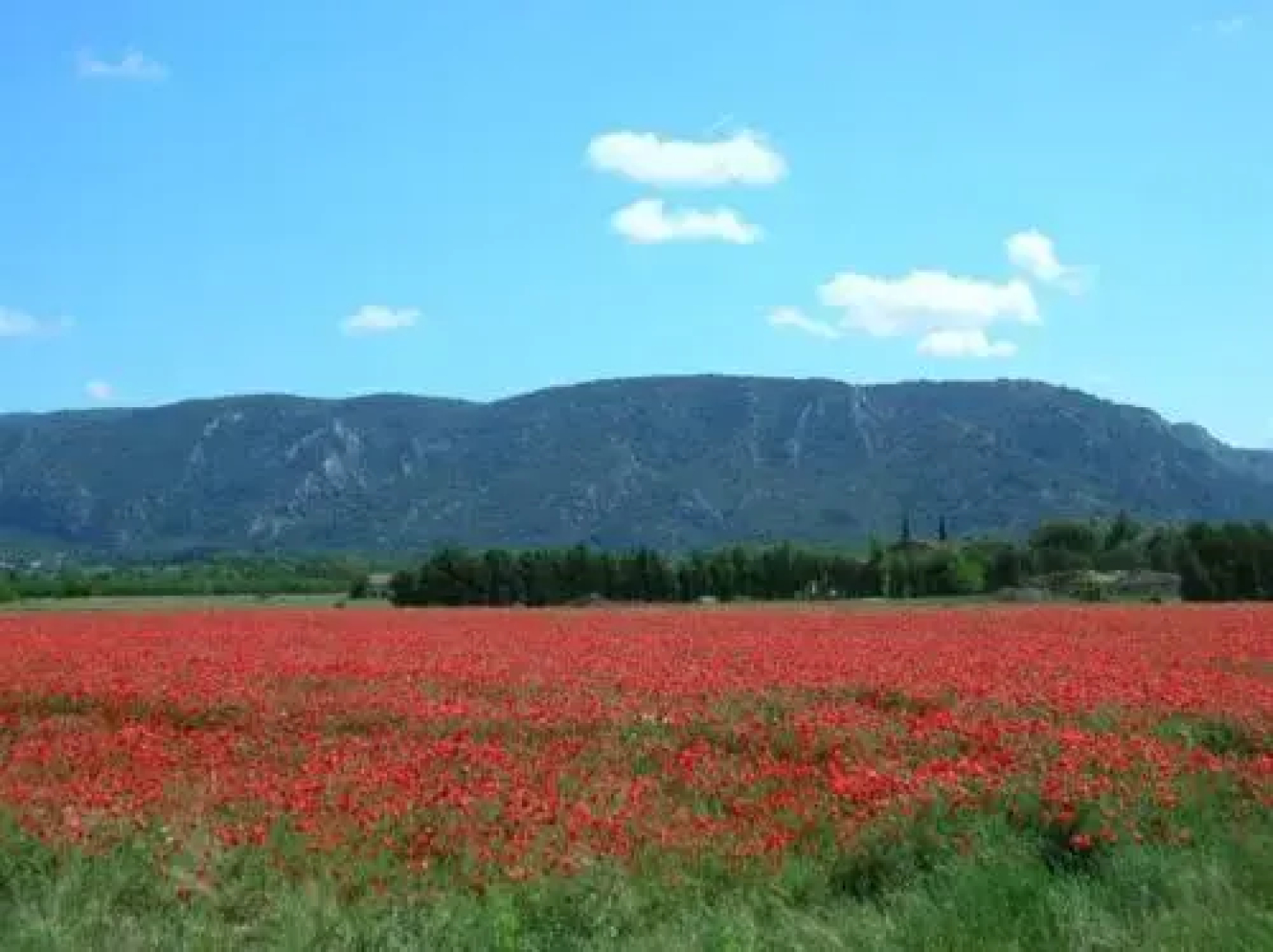 La Bastide des Jonquets