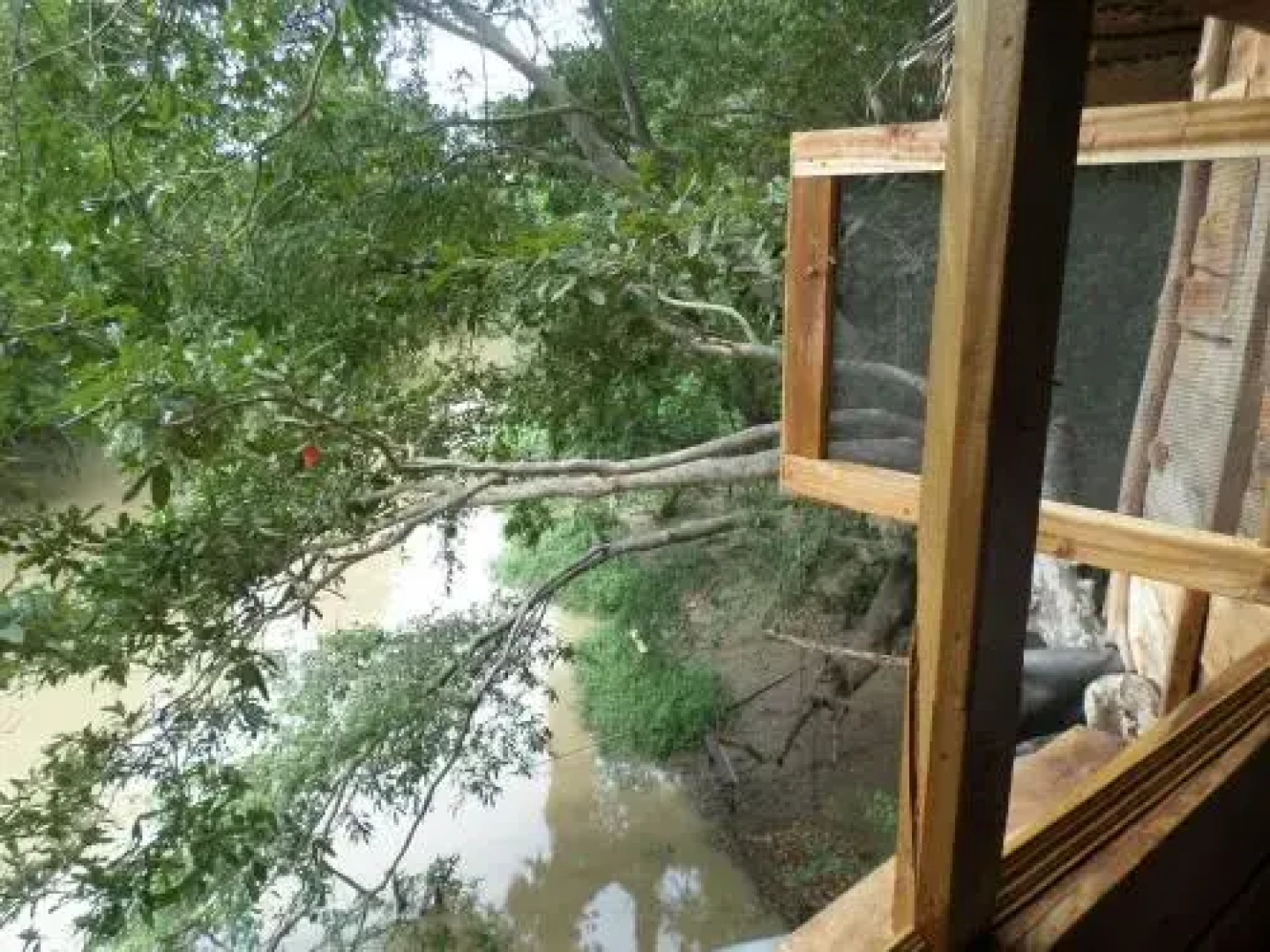 Kumbuk Tree House