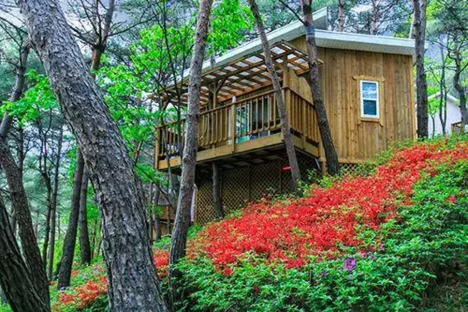 Hoengseong Forest Lover's Star Pension