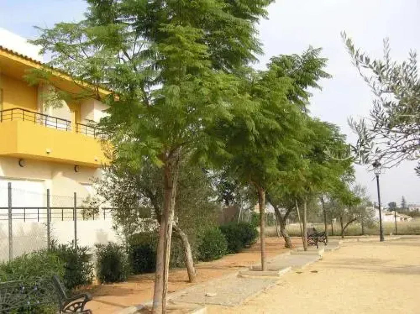 Apartamentos Turísticos los Girasoles