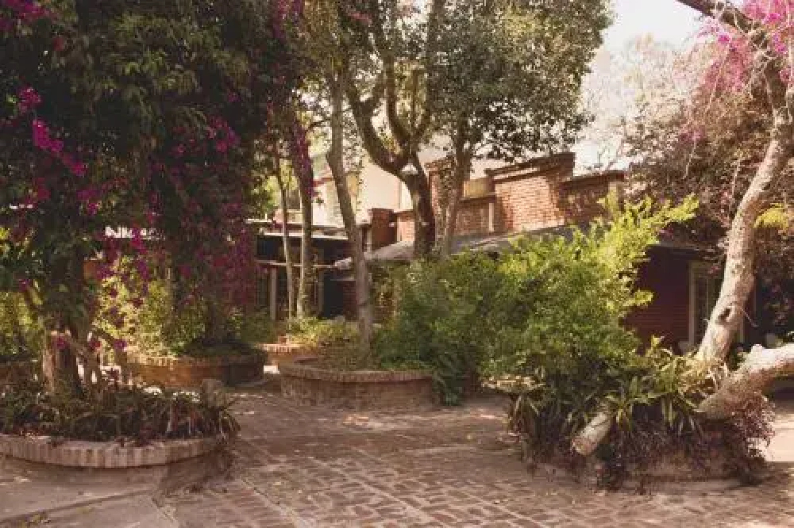 Los Arboles