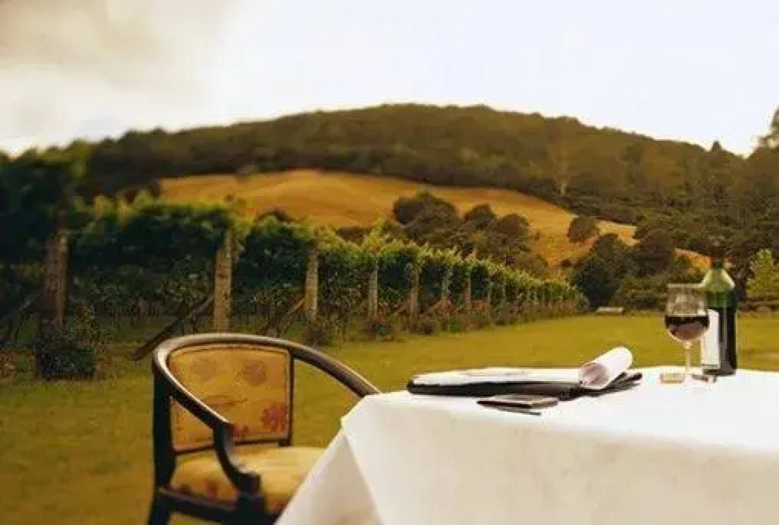 Du Vin