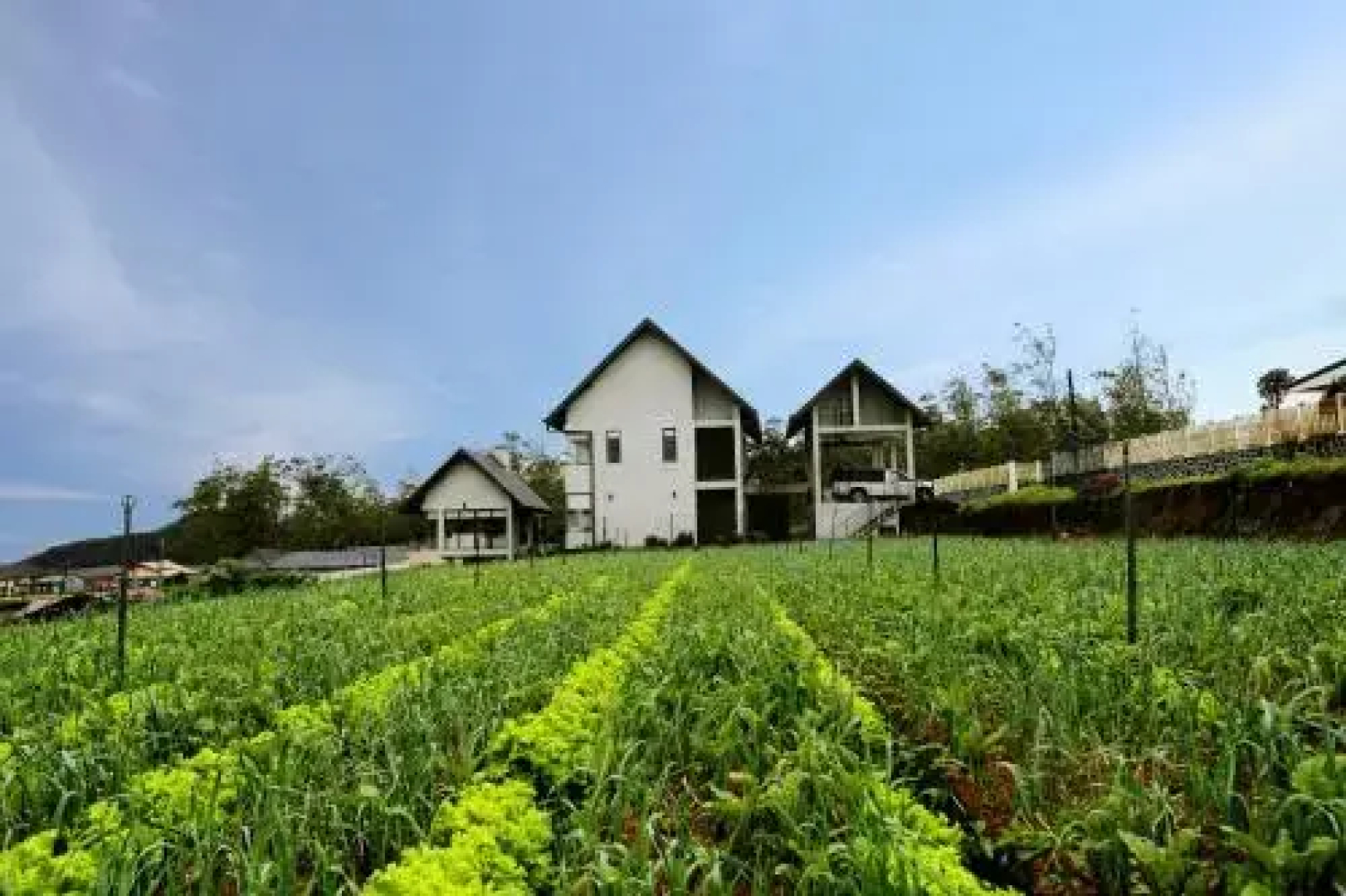 Nuwara Eliya The Fern Cove