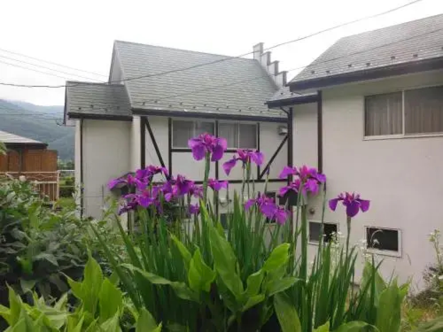 Villa Ausblick