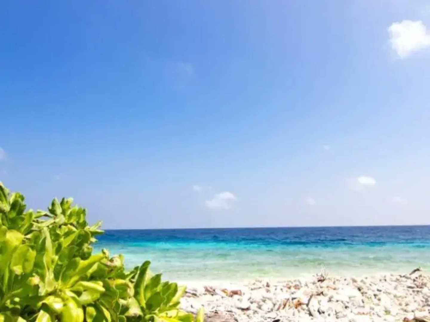 Aligaa Fishing Lodge