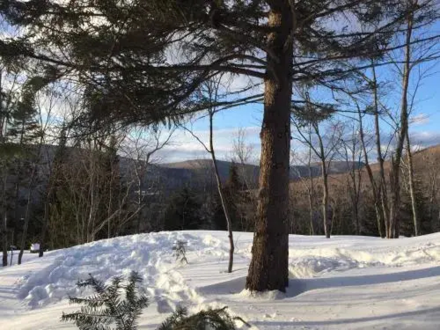 Lodge Nature Laurentides