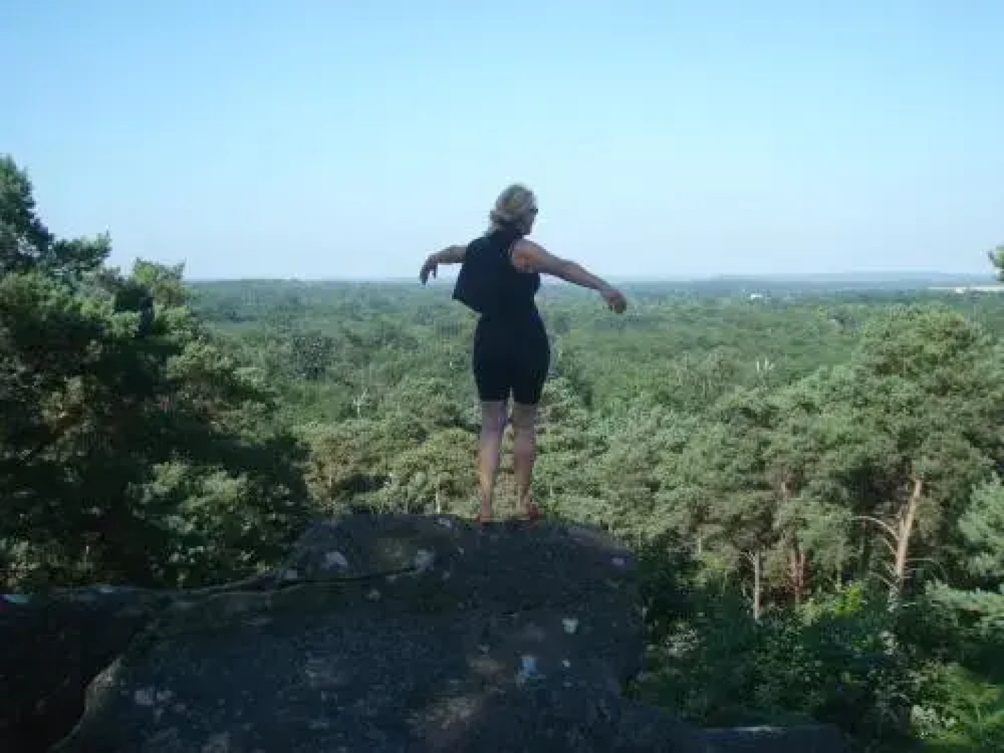 Les Prémices De La Forêt