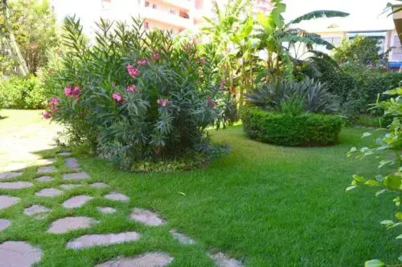No. 9 Los Horizontes