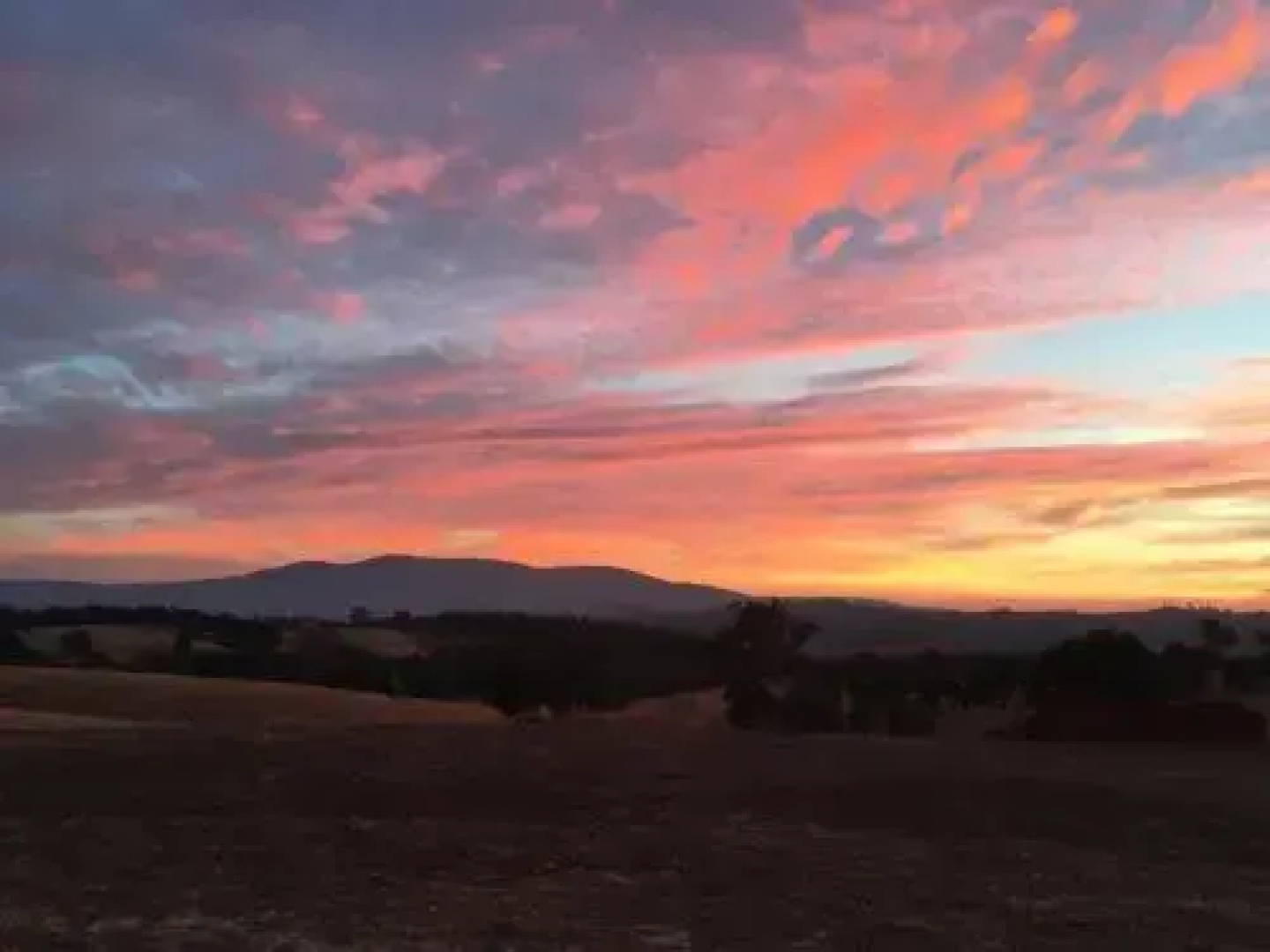 Wirraway Farm Stay