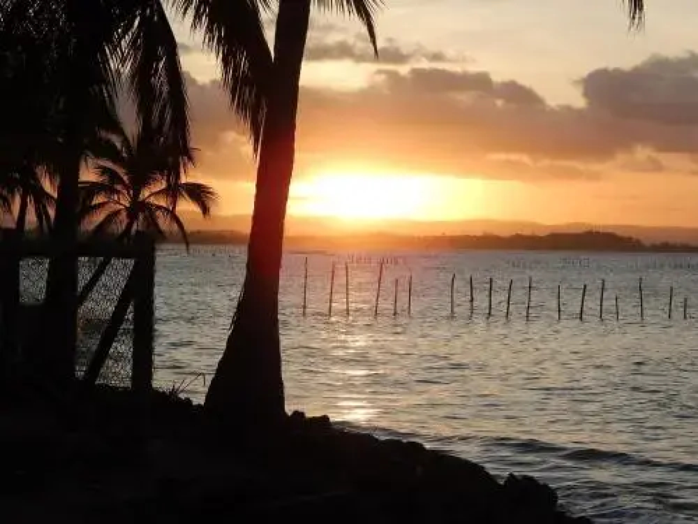 Pousada das Roseiras