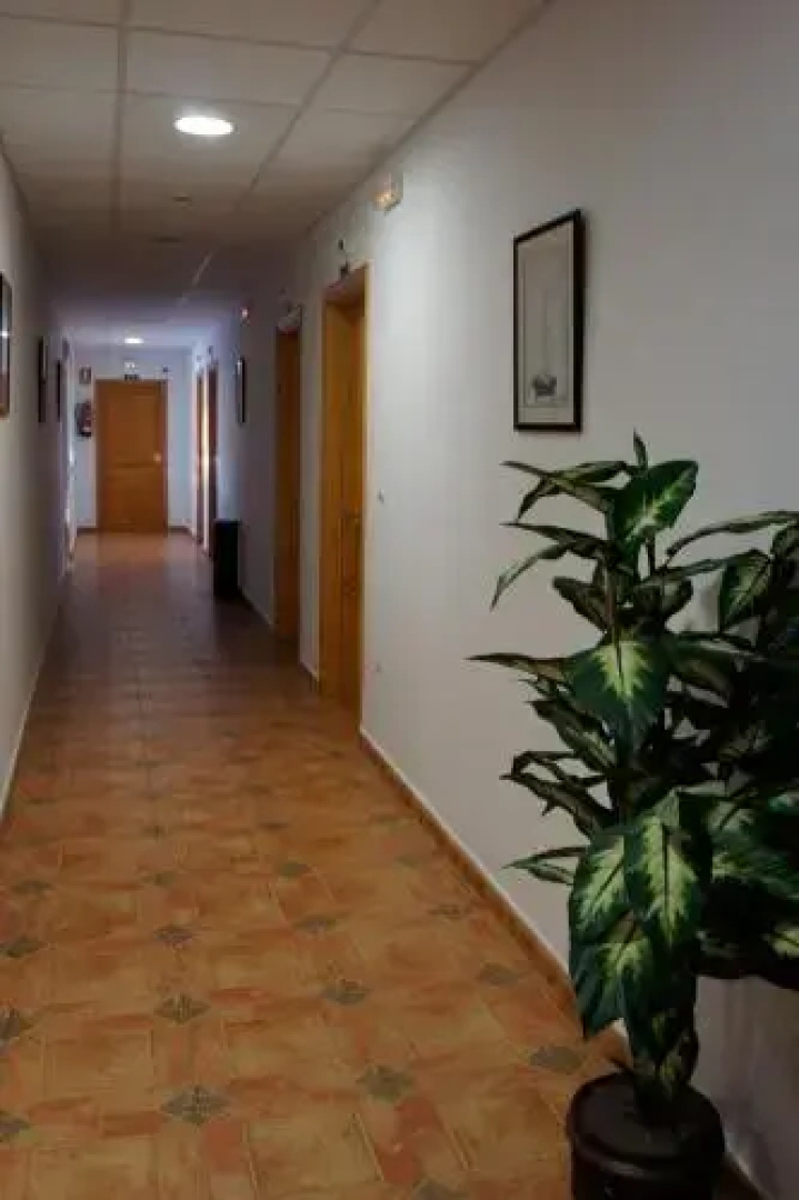 Hotel Apartamentos Kantara Al-Saif
