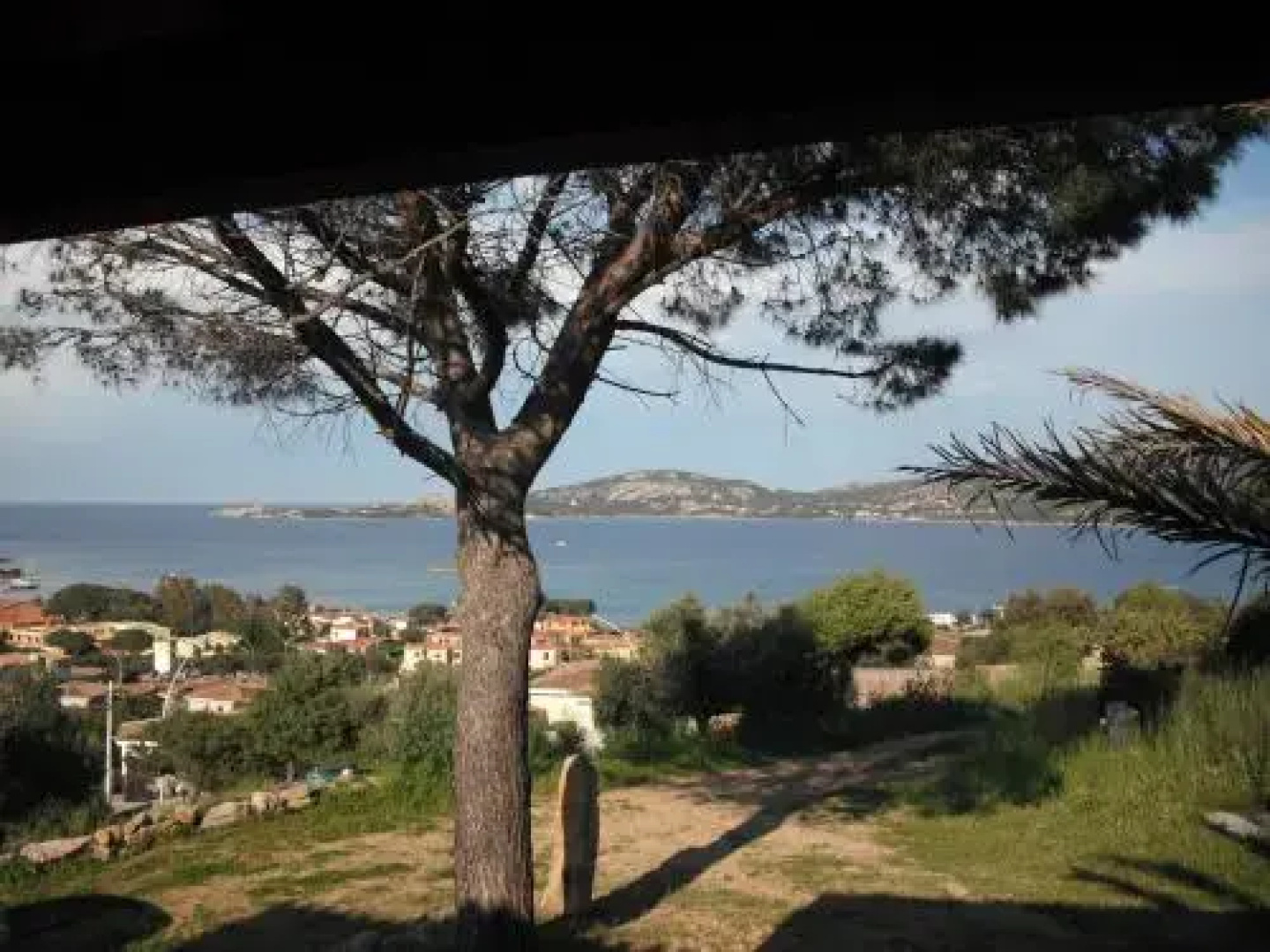 Casa Vacanze Il Pino
