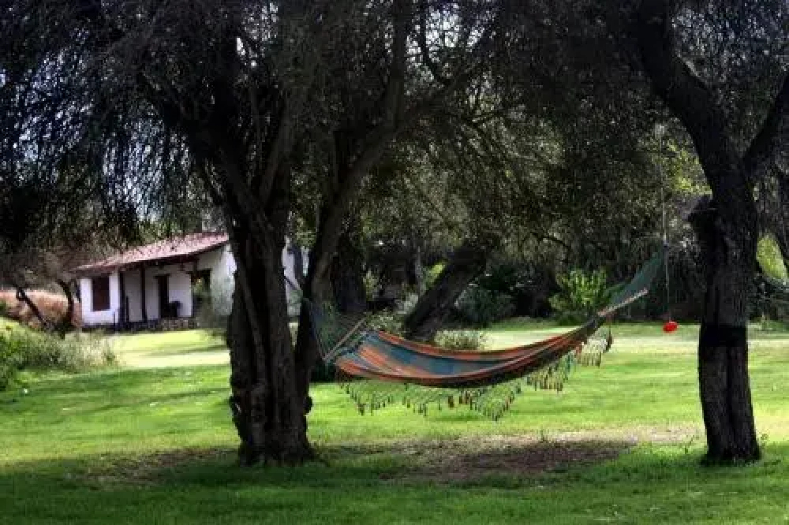Cabaña Duraznillo