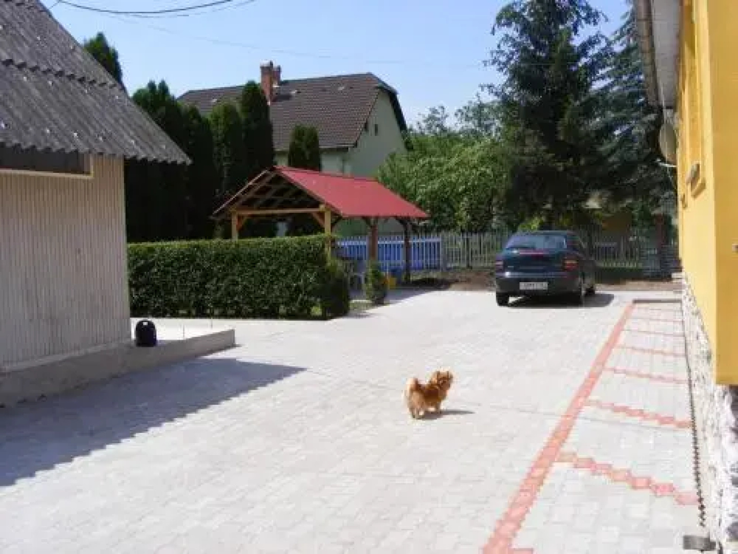 Napfény Vendégház és Apartman