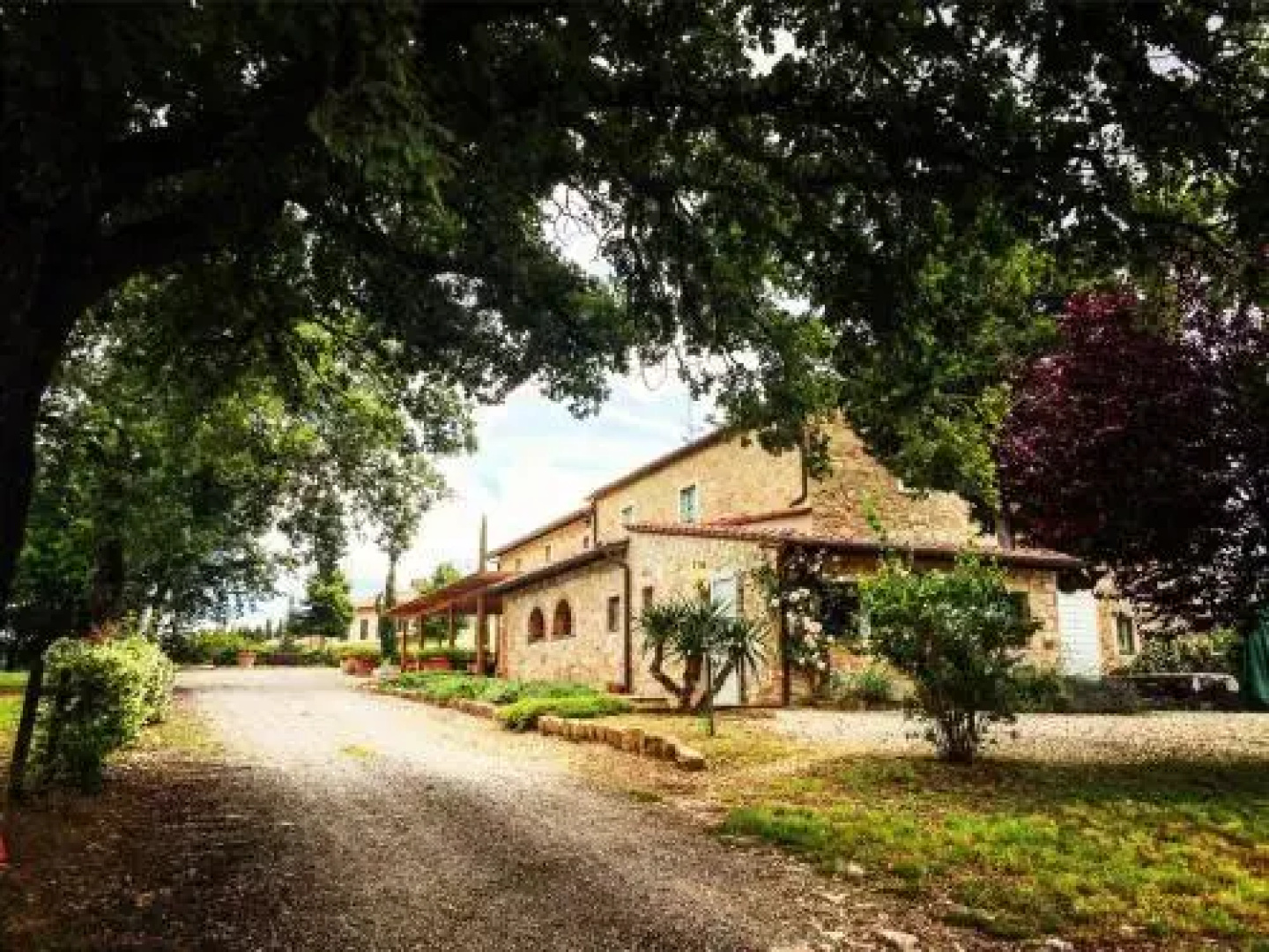 Fattoria Conio