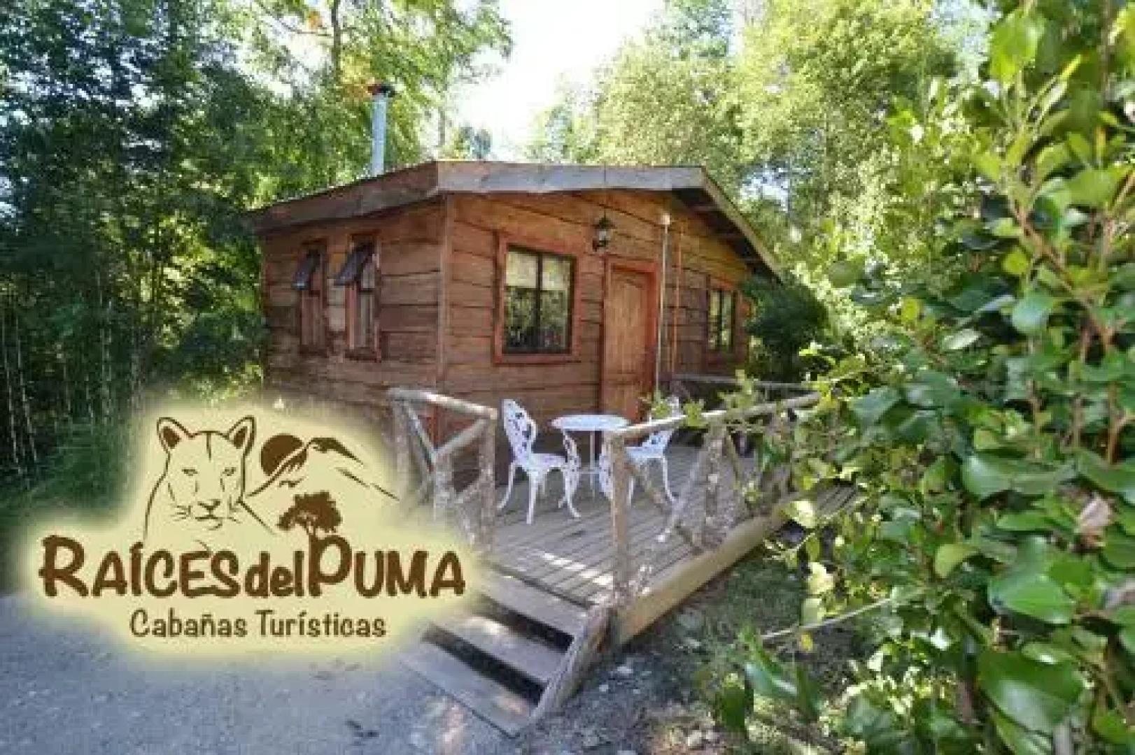 Cabañas Raices del Puma