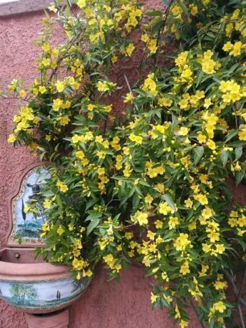 Giusy Bed and Breakfast