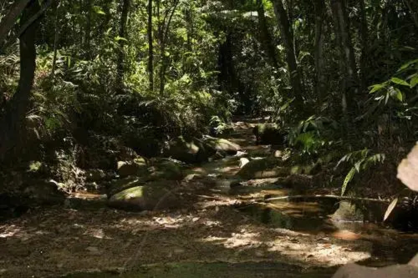 Hotel Fazenda Paraiso da Serra