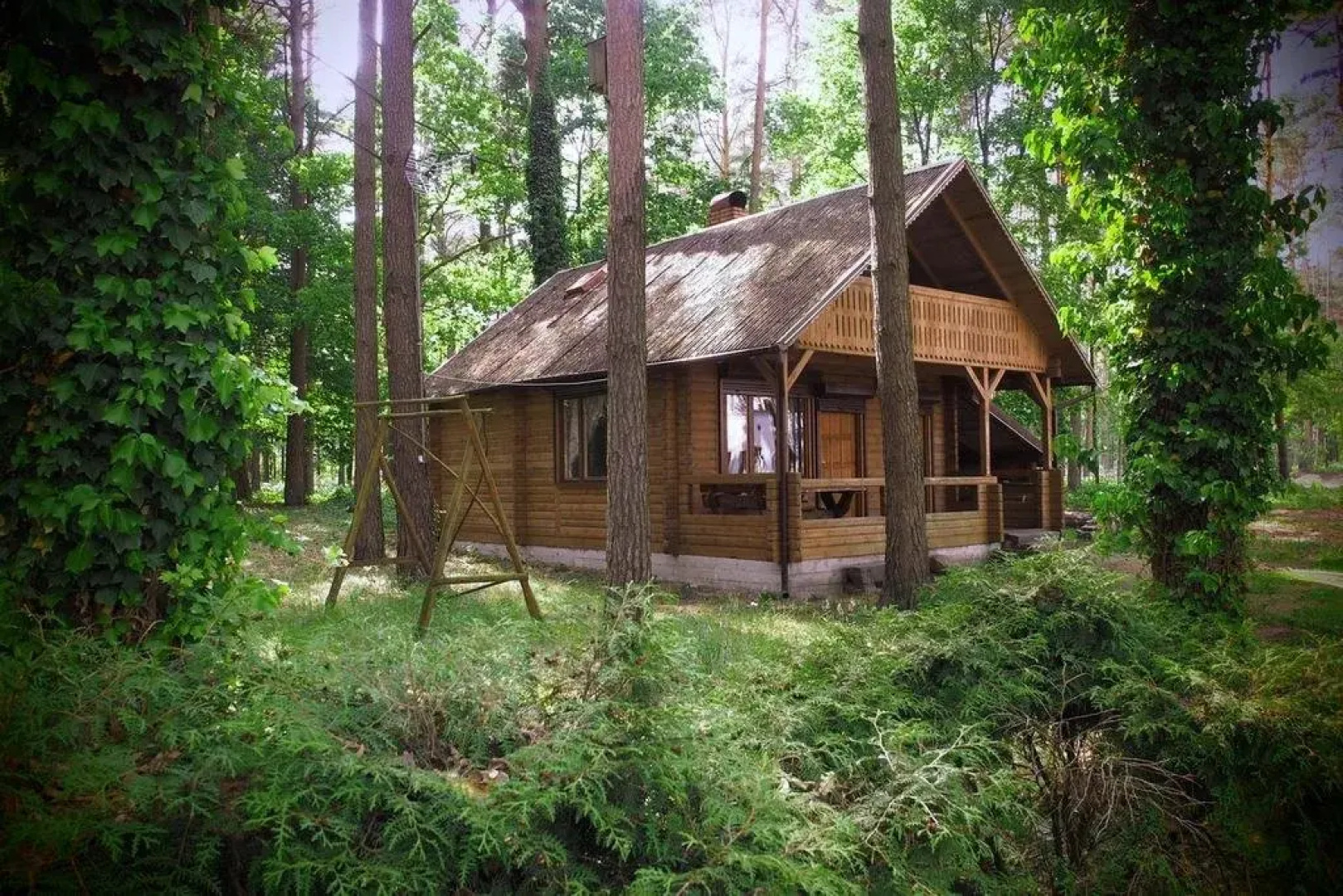 Mazurski Ośrodek Szych