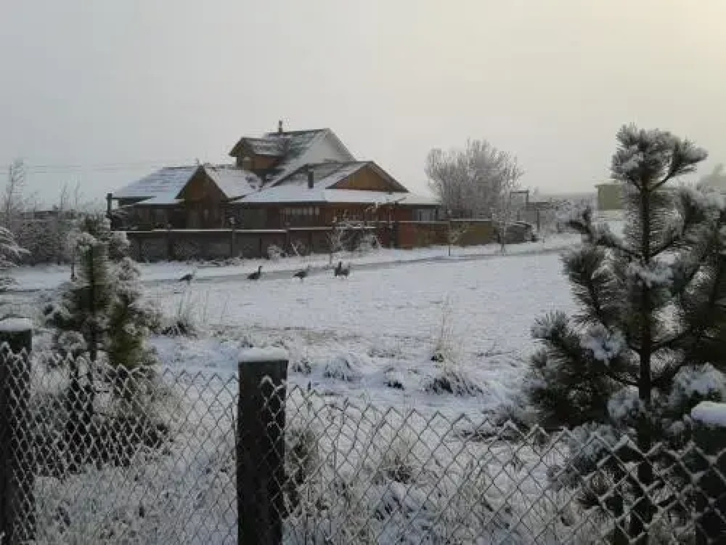 Cabañas Kauken