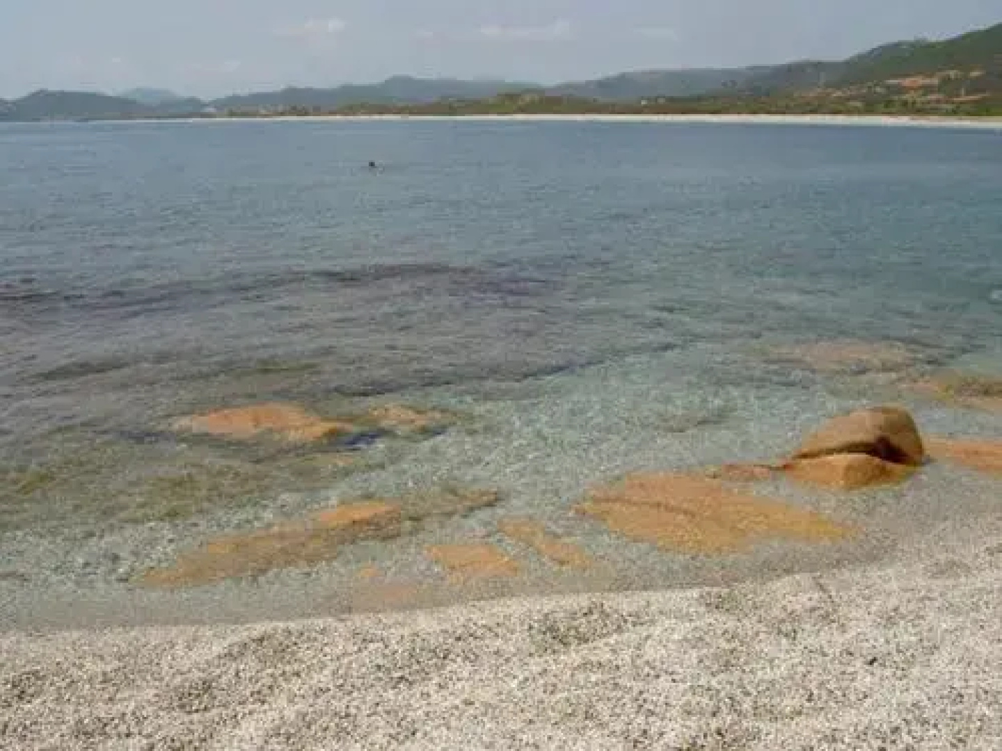 La Pavoncella