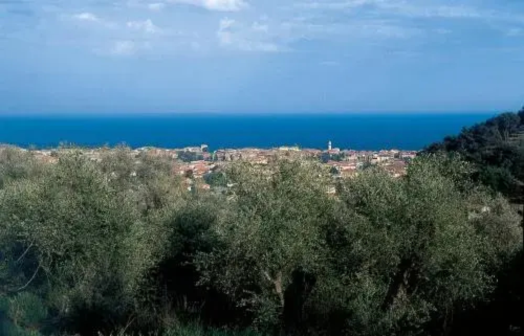 Agriturismo Borgo Muratori