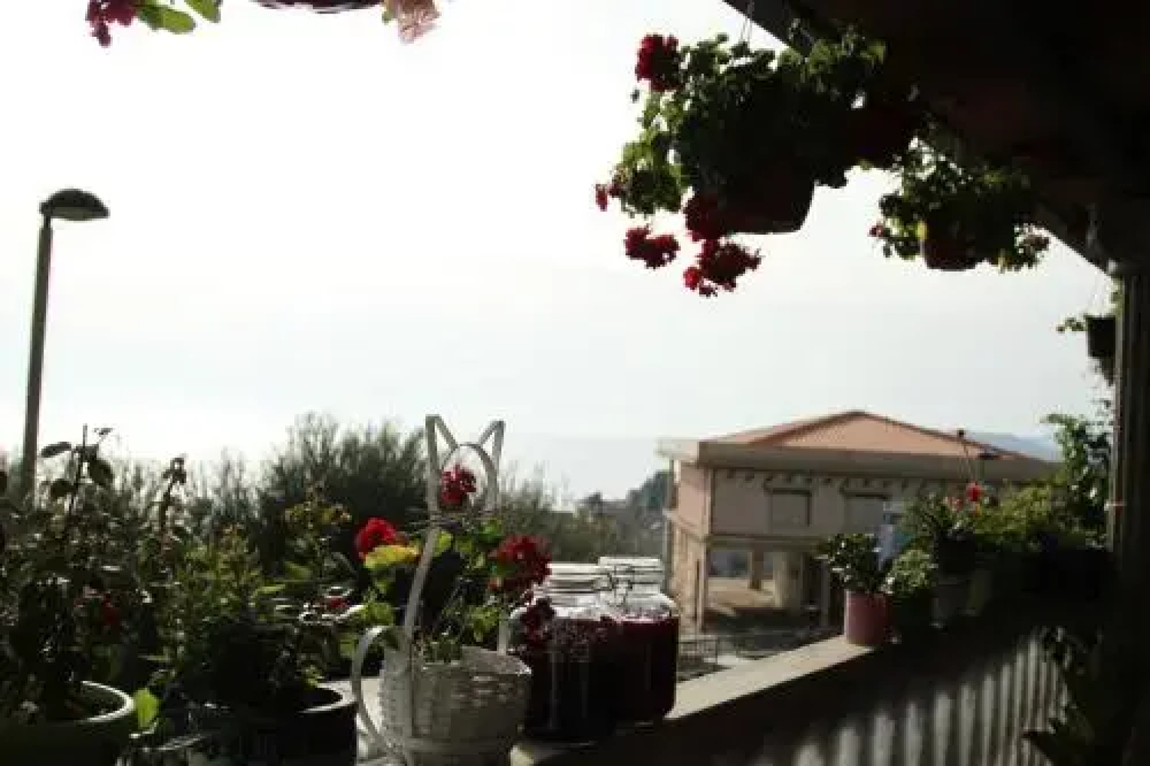 Apartments Grloman