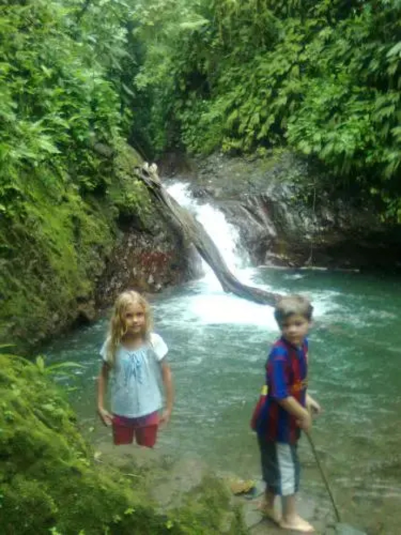 Jolly's Jungle Villa