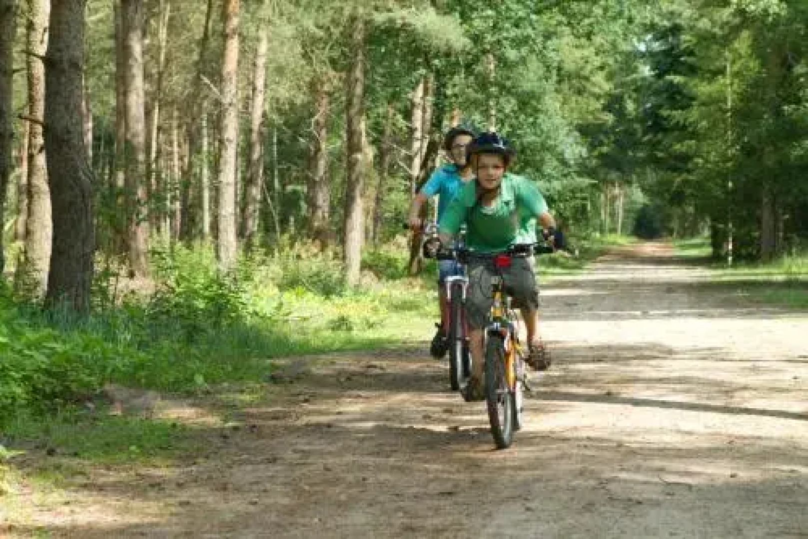 Villa de Kleine Wolf