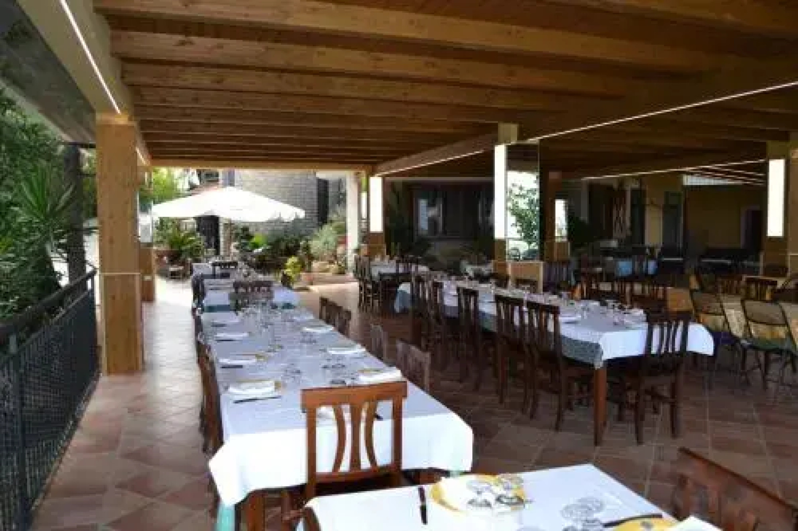 Il Falco del Cilento