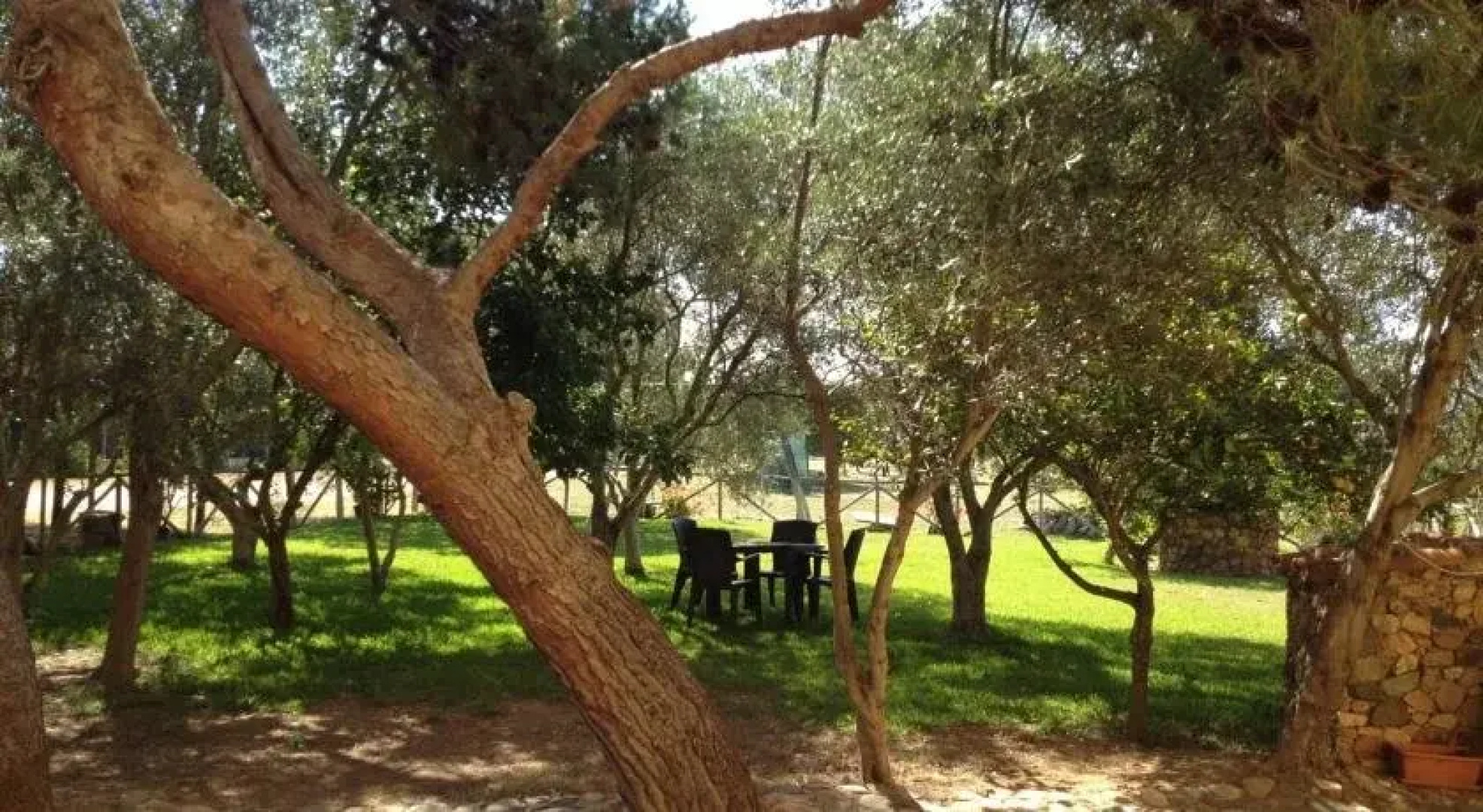 Il Ruscello