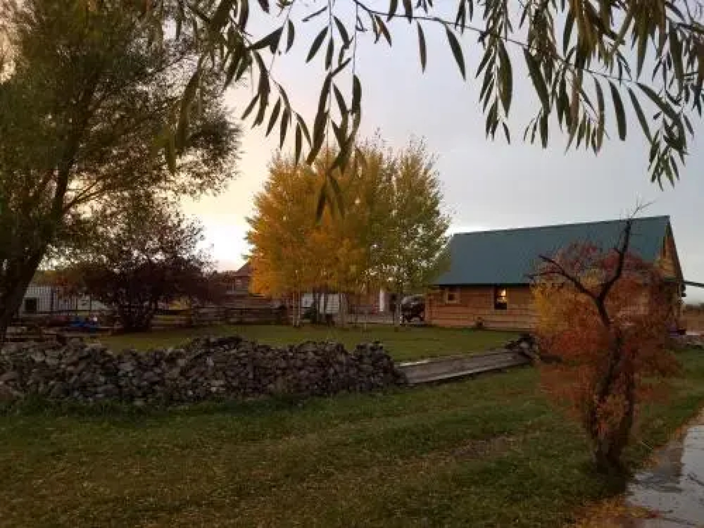Lazy Ass Ranch